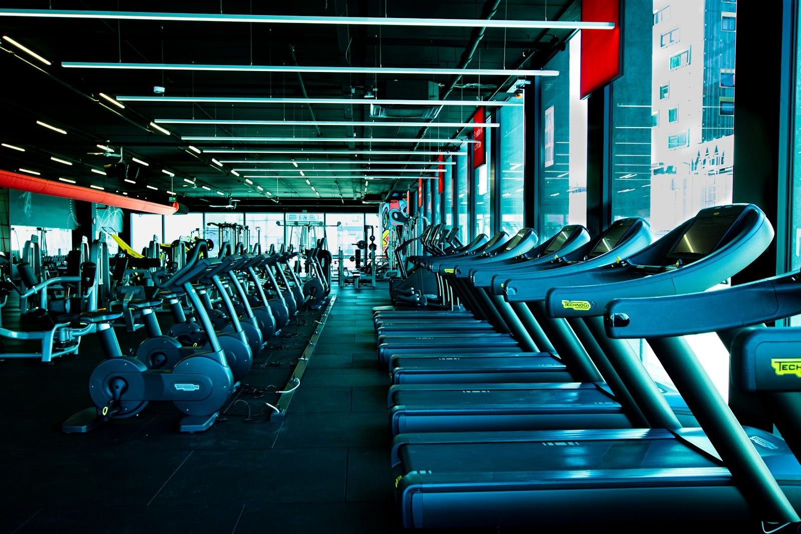 Treadmills and bikes arranged in a bright conditioning area